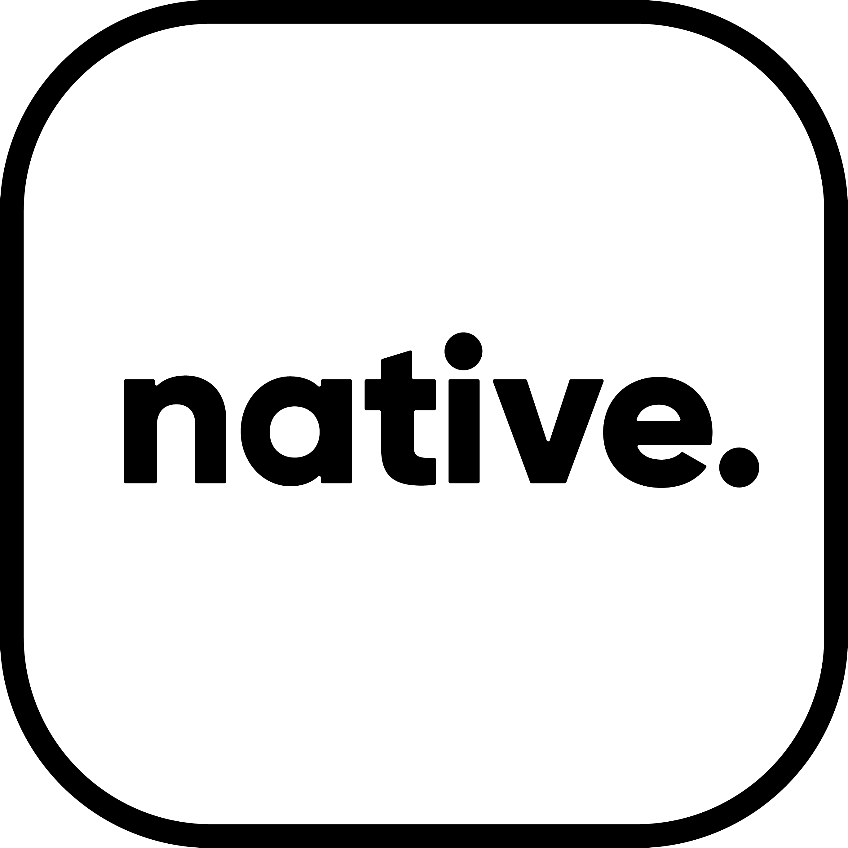 Native logo in black